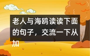 老人與海鷗讀讀下面的句子，交流一下從加點的詞句中體會到了什么，再把句子抄下來。