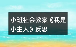 小班社會教案《我是小主人》反思