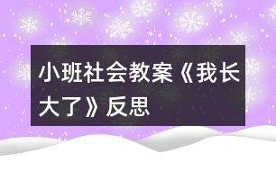 小班社會教案《我長大了》反思