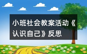 小班社會教案活動《認識自己》反思