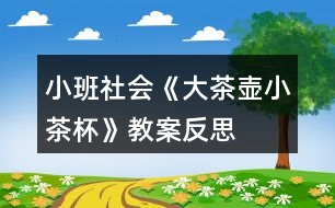 小班社會《大茶壺、小茶杯》教案反思