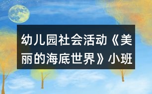 幼兒園社會活動《美麗的海底世界》小班教案反思