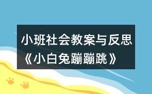 小班社會教案與反思《小白兔蹦蹦跳》