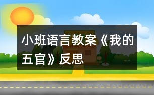 小班語(yǔ)言教案《我的五官》反思