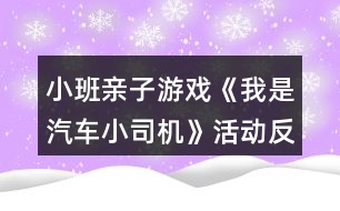 小班親子游戲《我是汽車小司機》活動反思