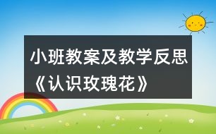 小班教案及教學反思《認識玫瑰花》