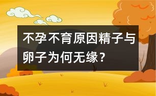 不孕不育原因：精子與卵子為何無緣？