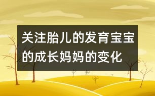 關(guān)注胎兒的發(fā)育：寶寶的成長、媽媽的變化