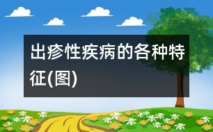 出疹性疾病的各種特征(圖)