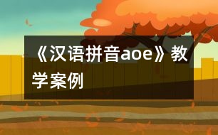 《漢語拼音a、o、e》教學(xué)案例