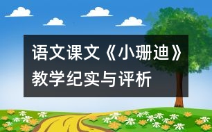 語(yǔ)文課文《小珊迪》教學(xué)紀(jì)實(shí)與評(píng)析