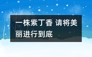 一株紫丁香 	請將美麗進行到底