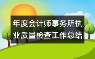 年度會(huì)計(jì)師事務(wù)所執(zhí)業(yè)質(zhì)量檢查工作總結(jié)