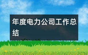 年度電力公司工作總結