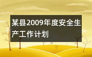 某縣2009年度安全生產(chǎn)工作計劃