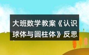 大班數(shù)學教案《認識球體與圓柱體》反思