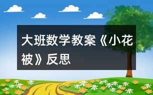 大班數(shù)學教案《小花被》反思