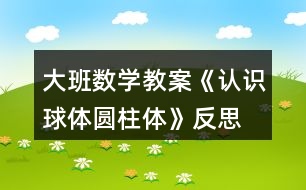 大班數(shù)學教案《認識球體、圓柱體》反思