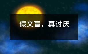 假文盲，真討厭