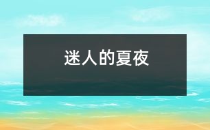 迷人的夏夜