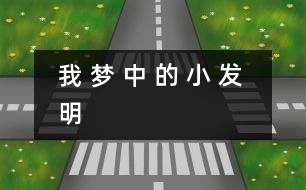 我 夢 中 的 小 發(fā) 明