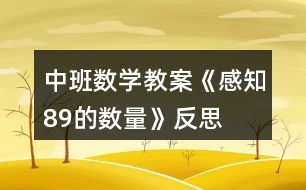 中班數(shù)學教案《感知8、9的數(shù)量》反思