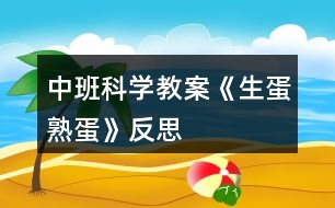 中班科學(xué)教案《生蛋熟蛋》反思