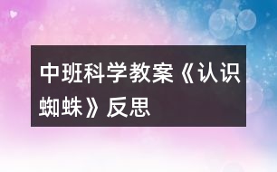 中班科學(xué)教案《認(rèn)識蜘蛛》反思