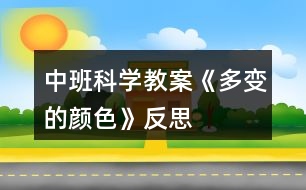 中班科學教案《多變的顏色》反思