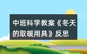 中班科學教案《冬天的取暖用具》反思