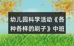 幼兒園科學活動《各種各樣的刷子》中班教案反思