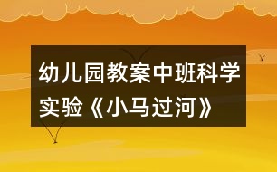 幼兒園教案中班科學(xué)實(shí)驗(yàn)《小馬過(guò)河》——溶解和吸水反思