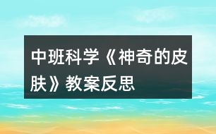 中班科學《神奇的皮膚》教案反思