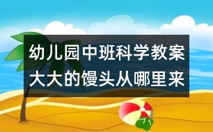 幼兒園中班科學教案：大大的饅頭從哪里來？