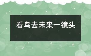 看鳥(niǎo)去——未來(lái)一鏡頭