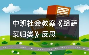 中班社會(huì)教案《給蔬菜歸類》反思