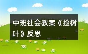 中班社會教案《撿樹葉》反思