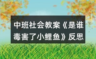 中班社會(huì)教案《是誰毒害了小鯉魚》反思