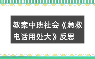 教案中班社會《急救電話用處大》反思