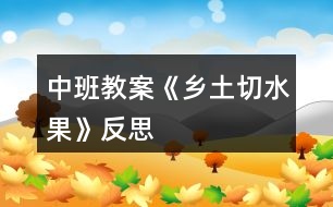 中班教案《鄉(xiāng)土切水果》反思