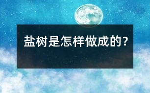 鹽樹是怎樣做成的？