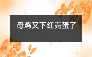 母雞又下紅殼蛋了