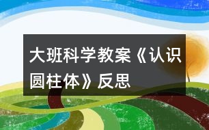 大班科學(xué)教案《認(rèn)識(shí)圓柱體》反思