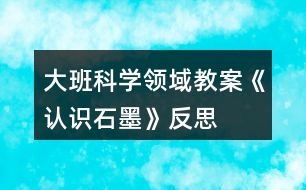 大班科學(xué)領(lǐng)域教案《認(rèn)識(shí)石墨》反思