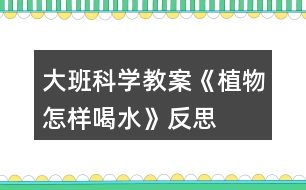 大班科學教案《植物怎樣喝水》反思