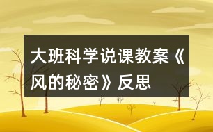 大班科學(xué)說課教案《風(fēng)的秘密》反思