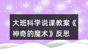 大班科學(xué)說(shuō)課教案《神奇的魔術(shù)》反思