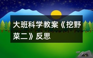 大班科學教案《挖野菜（二）》反思