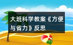 大班科學(xué)教案《方便與省力》反思