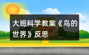 大班科學(xué)教案《鳥的世界》反思